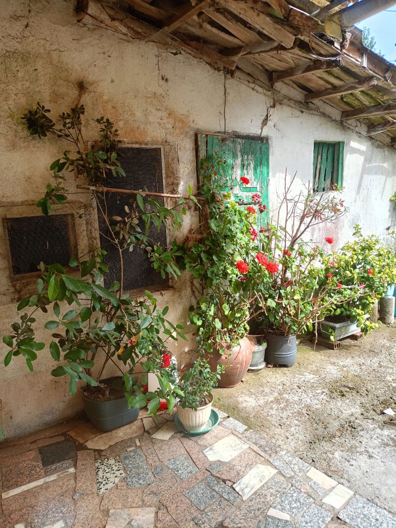Jardí de Casa adosada en venda en Santiago de Compostela  amb Jardí privat