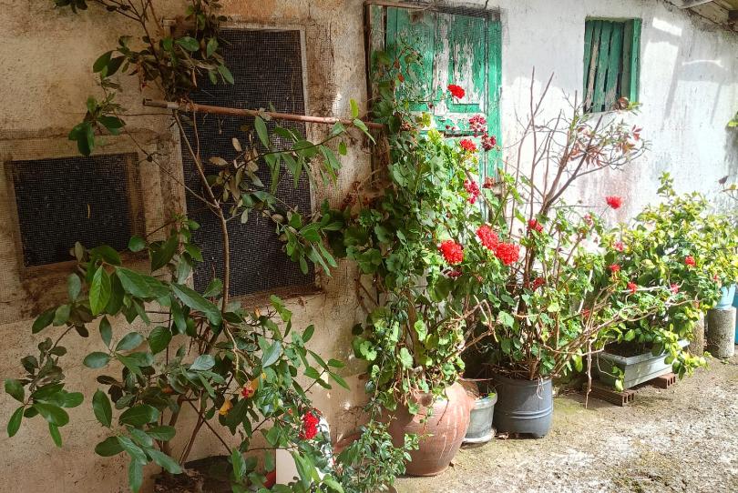 Foto 1 de Casa adosada en venda a Rúa Da Virxe de Fátima, 8, Castiñeiriño - Cruceiro de Sar, A Coruña