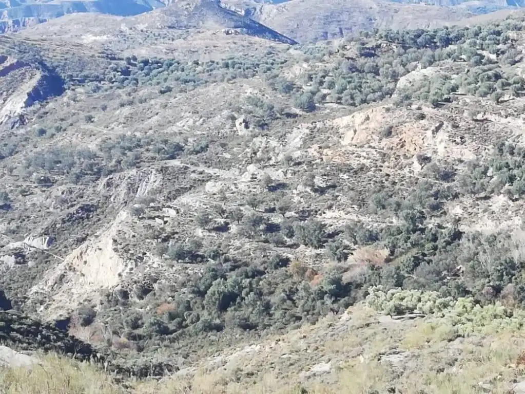 Terreni e lotti in vendita a Polígono 6 Parcela 278 CASTILLEJO. NEVADA (GRANAD 6