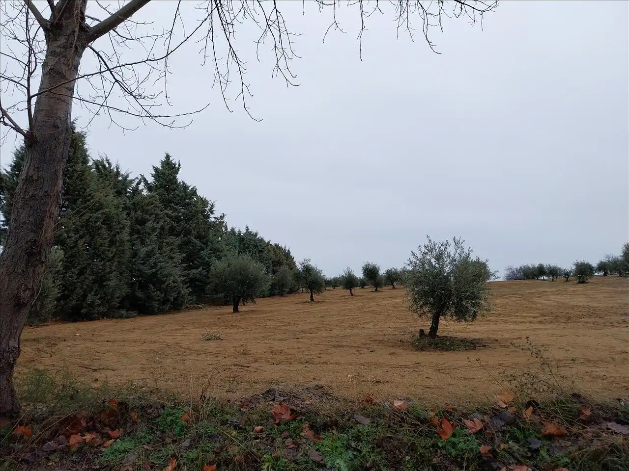Terreny residencial en venda a PARAJE DE LOS ADOBES, imagen 4