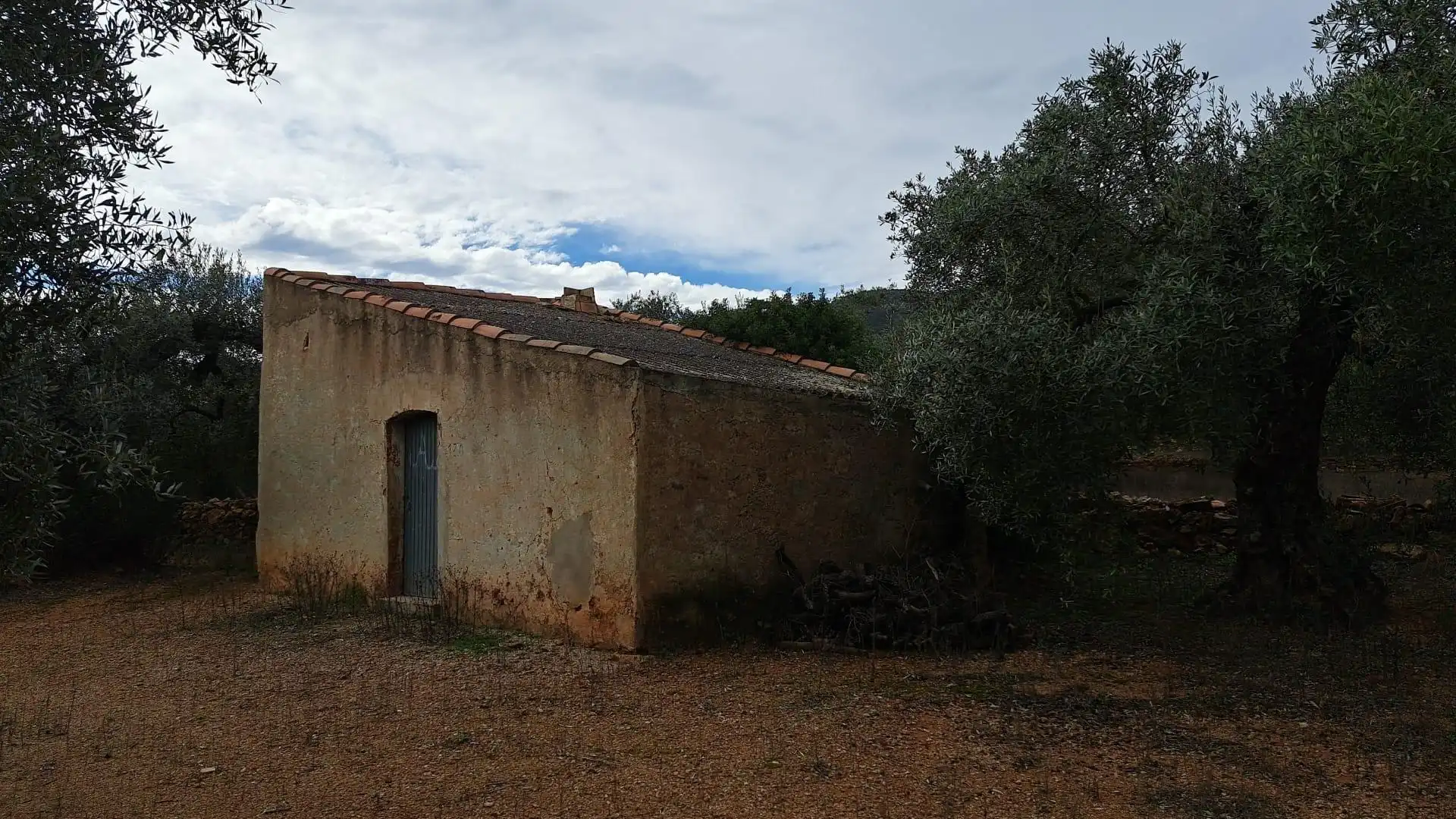 Vista exterior de Terreno en venta en Freginals