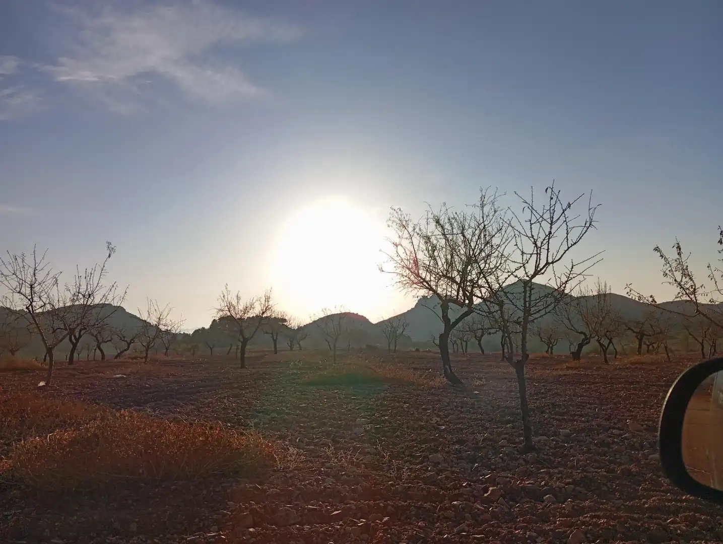 Houses for sale in Bejar