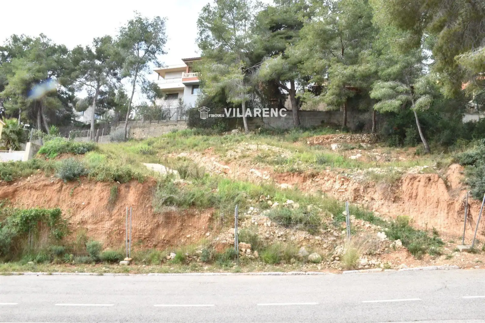 Rural land for sale in GLADIOL, imagen 2