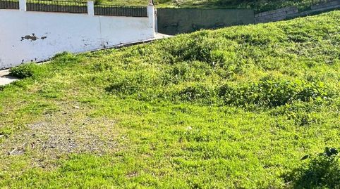 Foto 4 de Finca rústica en venda a Norte - Barrio del Pilar - El Reñidero, Vélez-Málaga