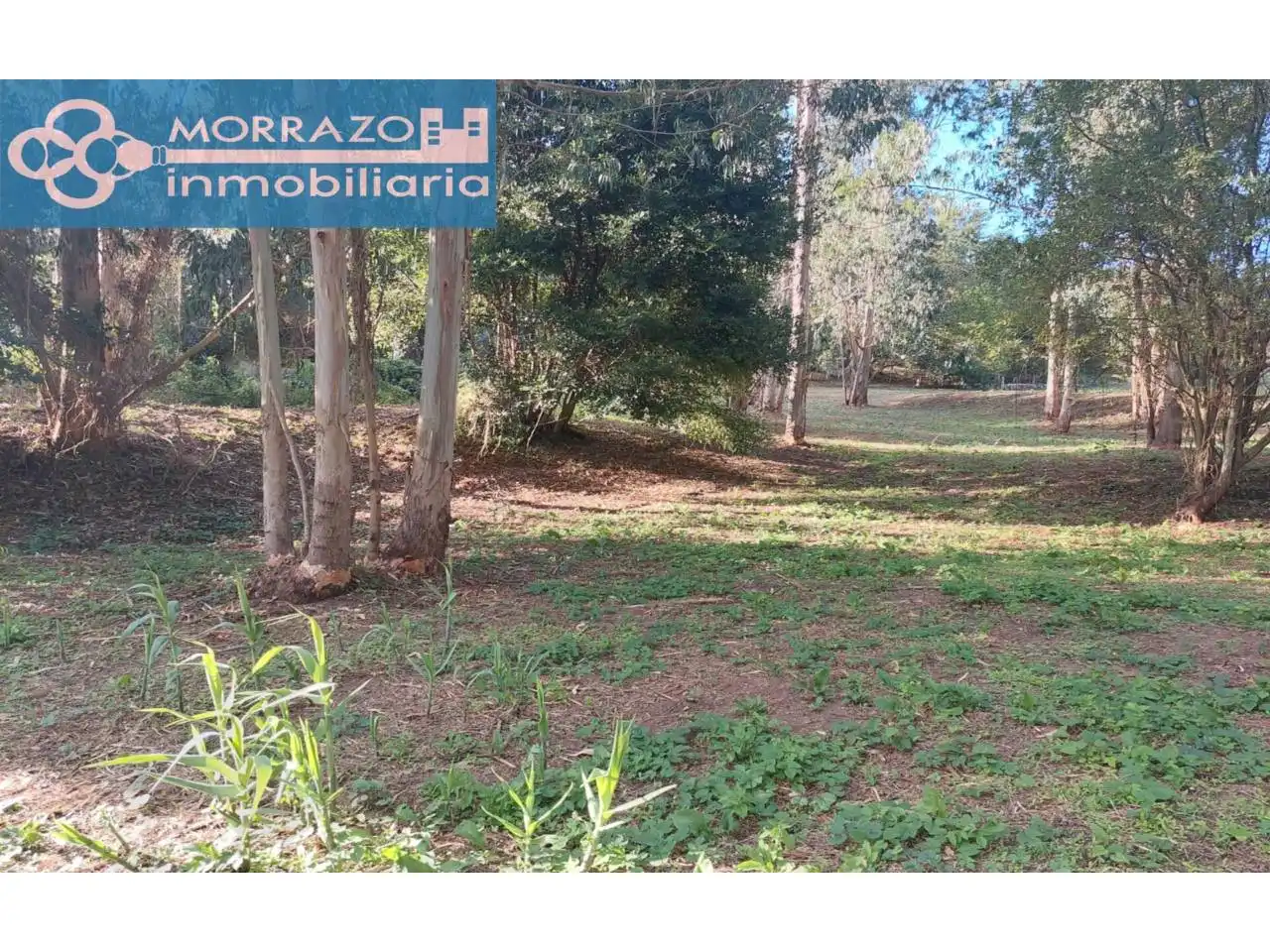 Terreno rustico in vendita a Bueu, imagen 43