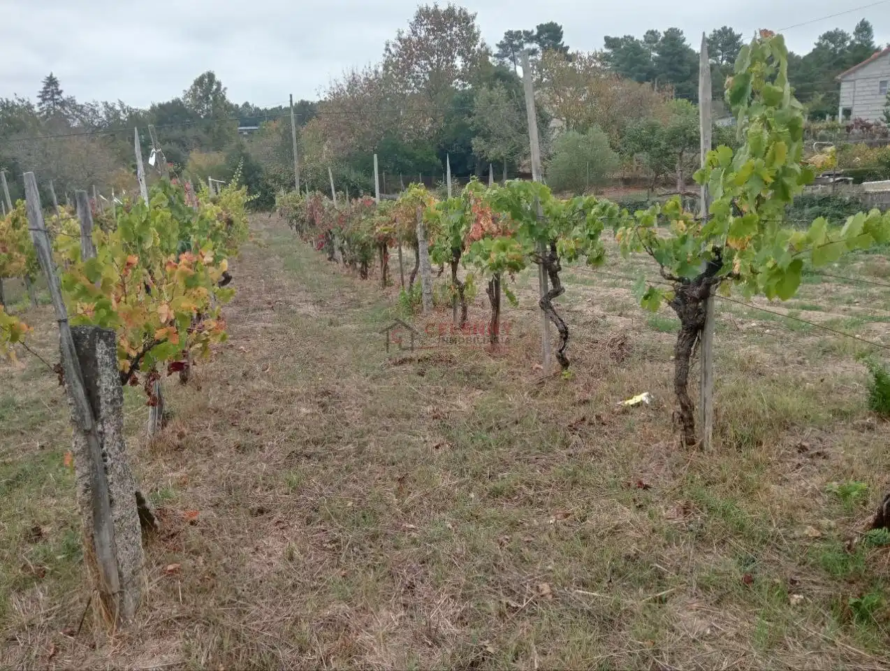 Residencial en venda en San Cibrao das Viñas