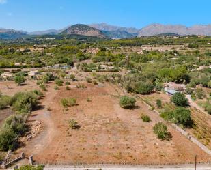 Land for sale in Pollença