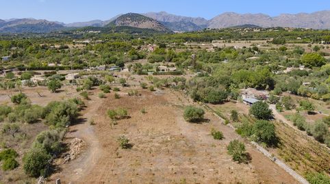 Parcela con proyecto de villa en venta en Pollensa, norte de Mallorca