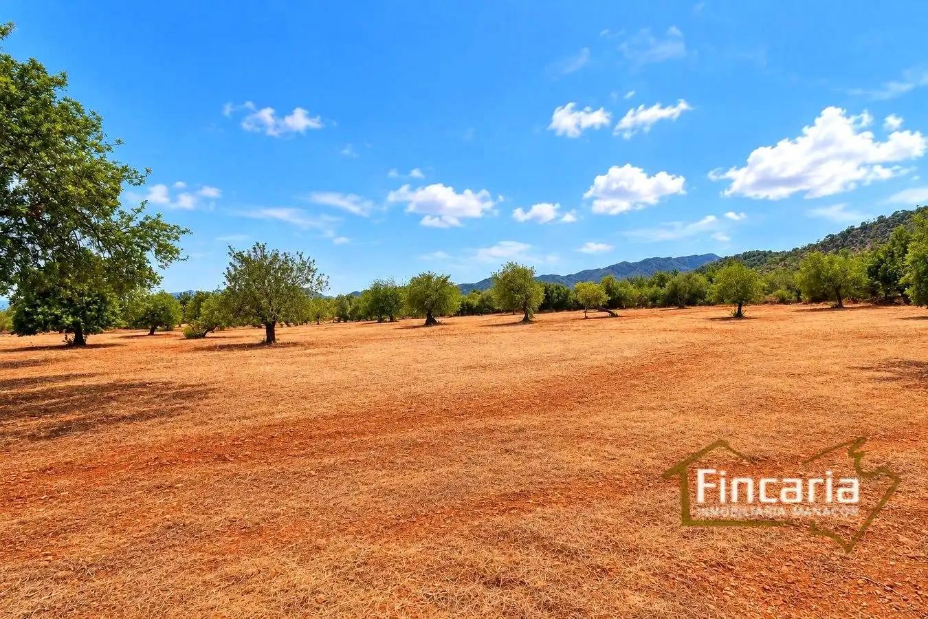 Country homes for sale in Marratxinet