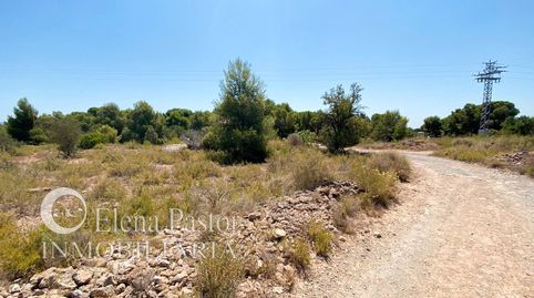 Foto 4 de Residencial en venta en N/a, -1, Los Pinares - La Masia, Bétera