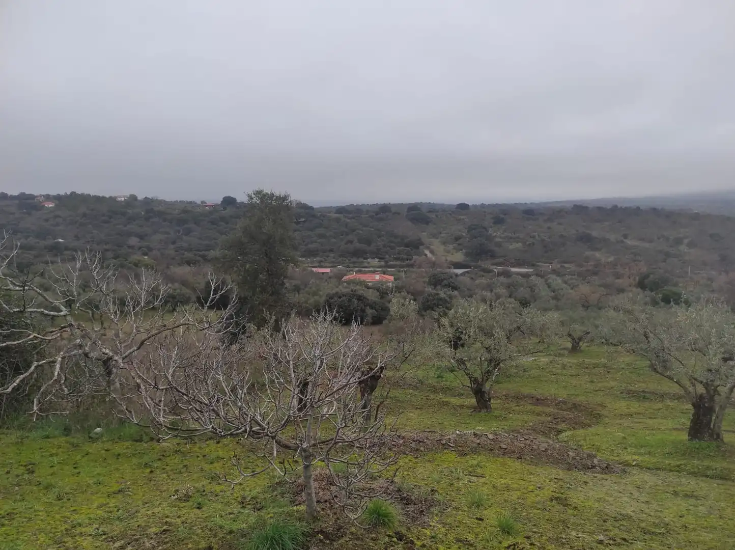 Terreno en venta en Plasencia
