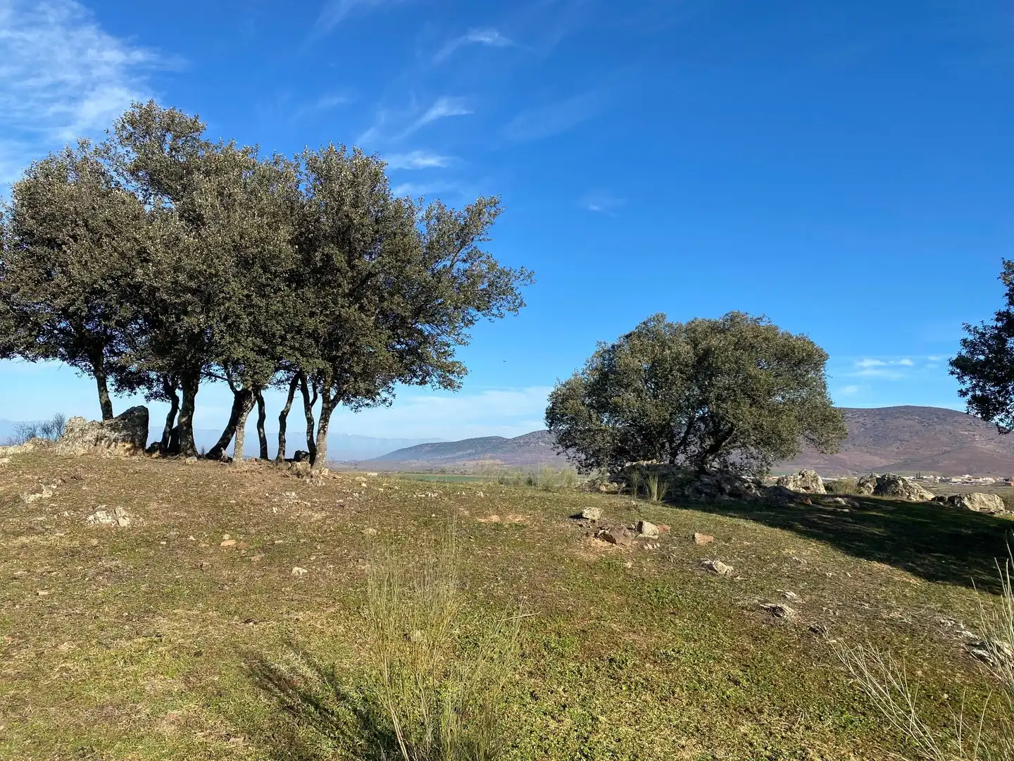 Grundstücke zum Verkauf in La Estrella