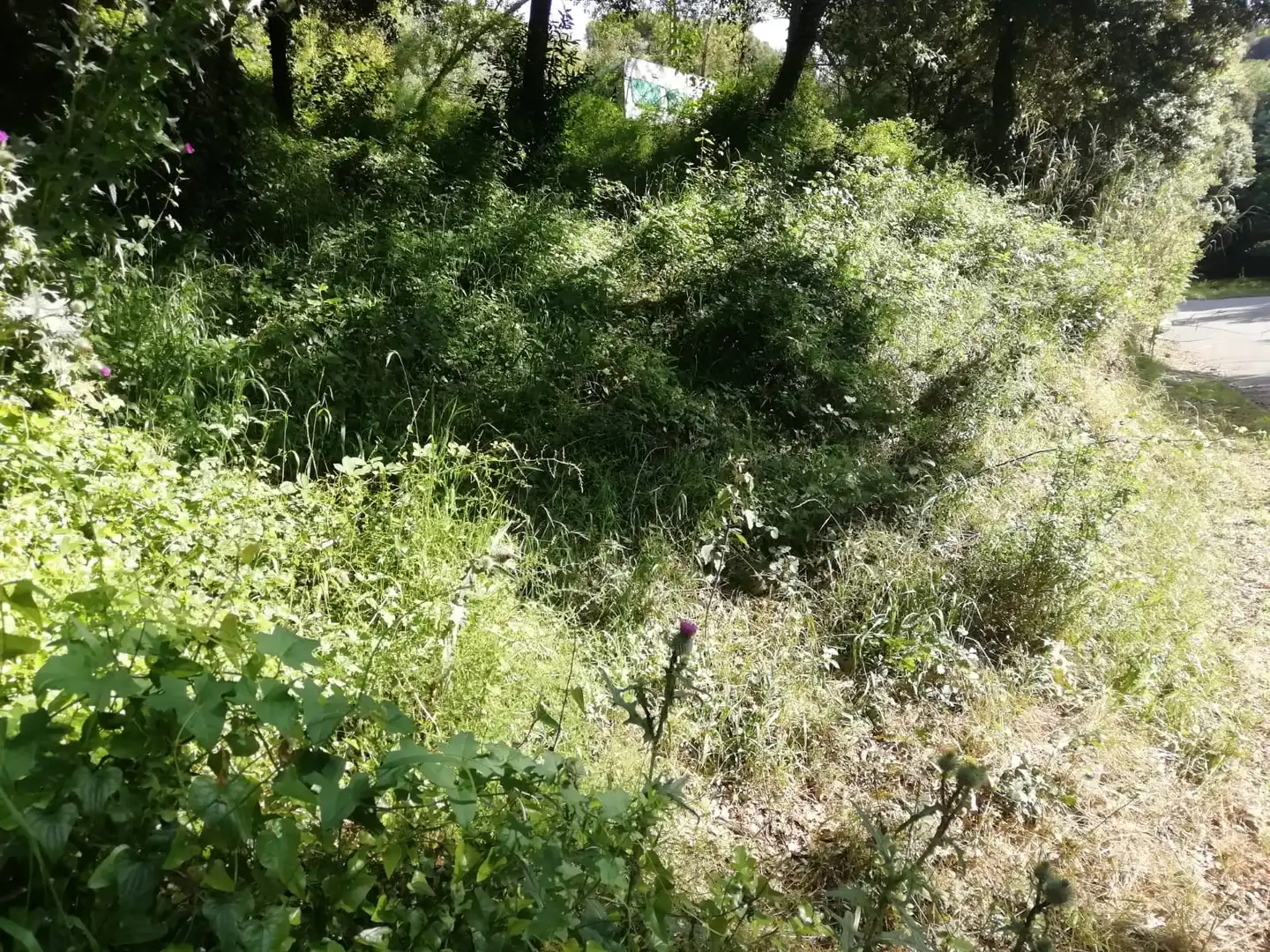 Residential land for sale in Sant Pere de Vilamajor, imagen 2