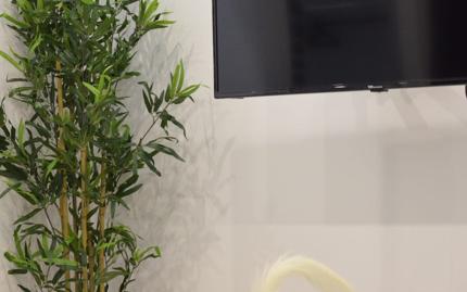 Foto 5 de Planta baixa de lloguer a C. Juan XXIII, 14, Centro, Torrejón de Ardoz