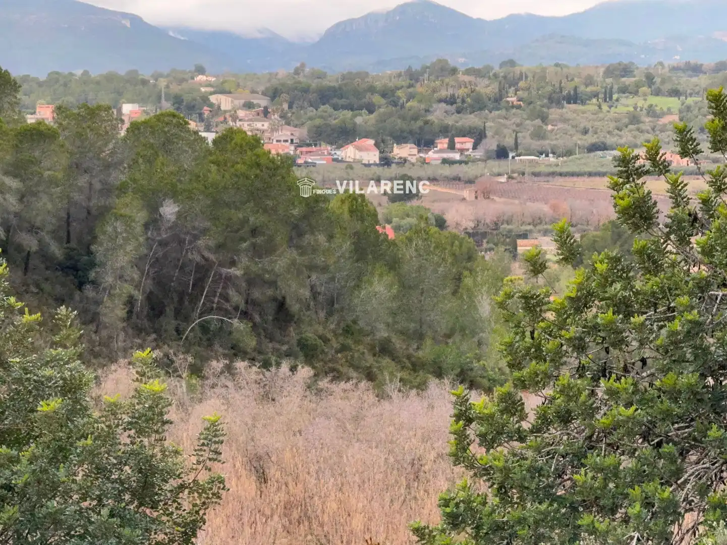 Terrain rustique à vendre à Vallmoll, imagen 13