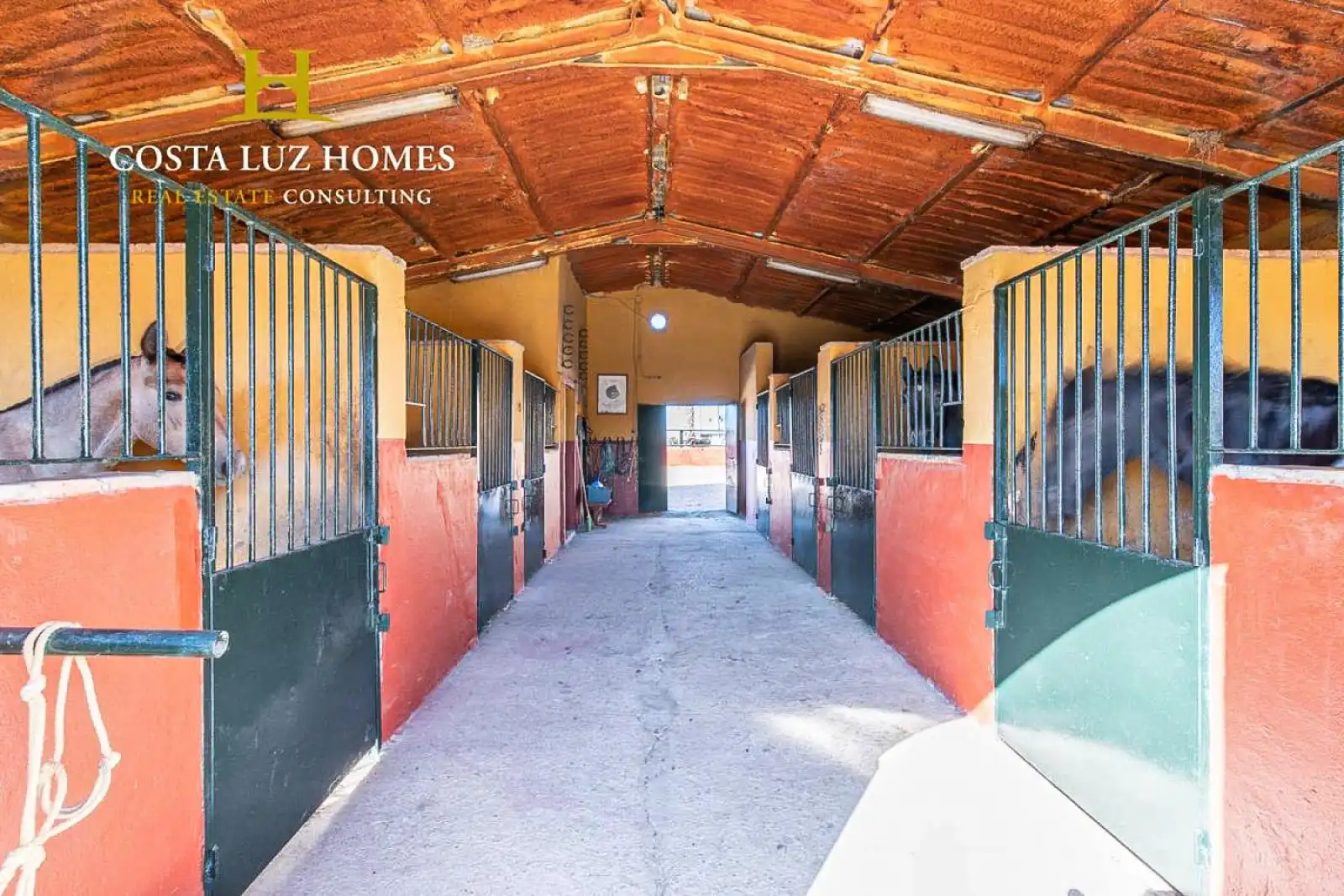 Casa rústica amb piscina en venda a Arcos de la Frontera, imagen 21