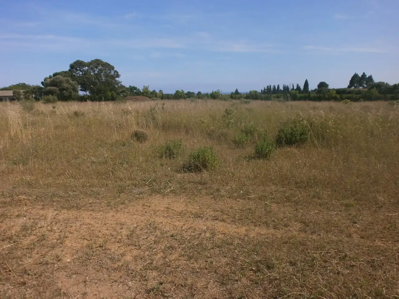 Rural land for sale in Vial Camino 1, imagen 4