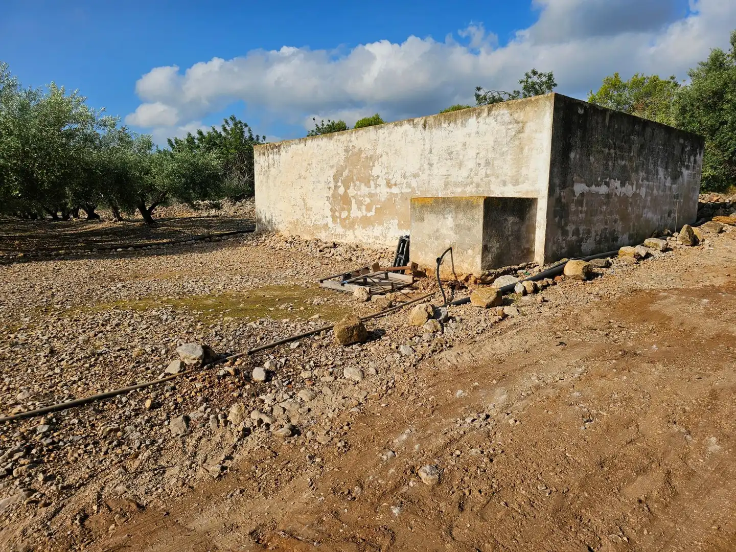Country house for sale in Alcanar, imagen 27