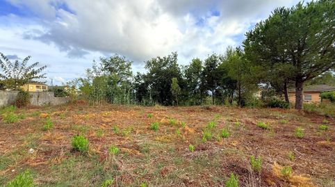 Terreno en venta en Riells i Viabrea