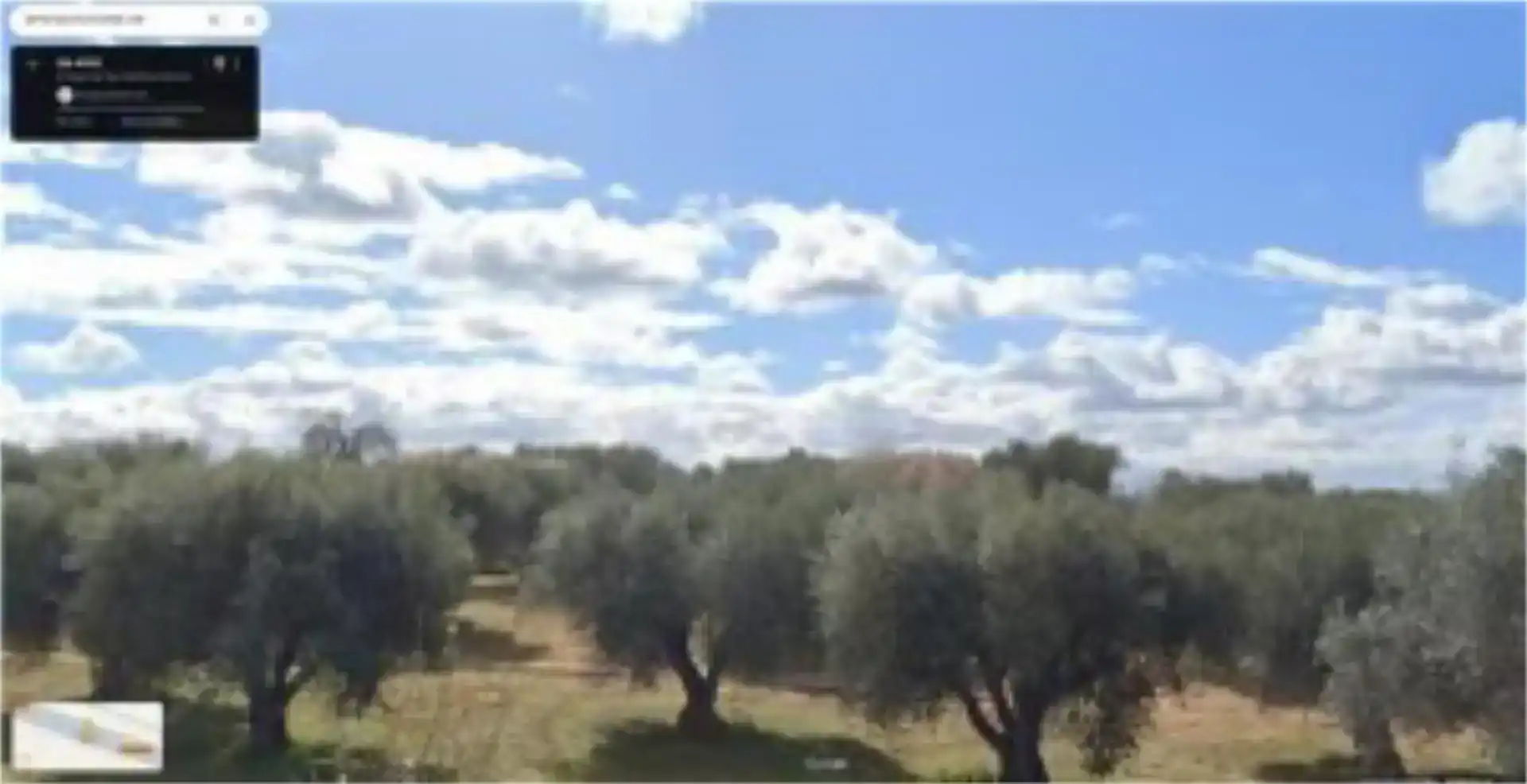 Land for sale in El Carpio de Tajo