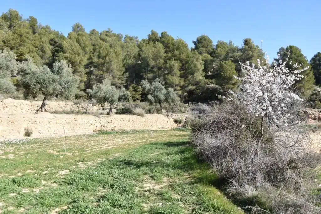 Country homes for sale in La Fresneda