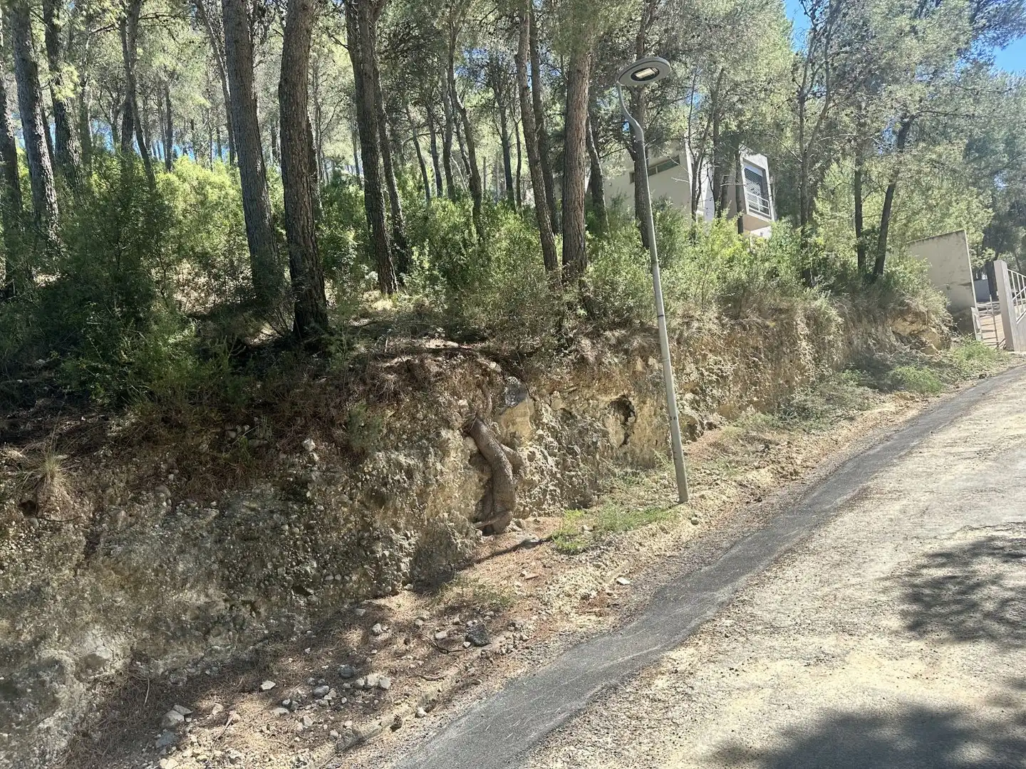 Wohnbaugrundstück zum Verkauf in Torres Torres, imagen 17