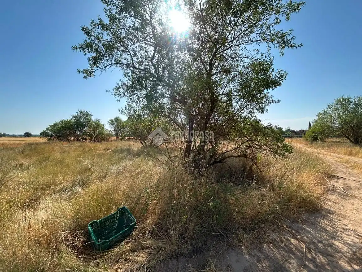 Rural land for sale in Laguna de Duero, imagen 10