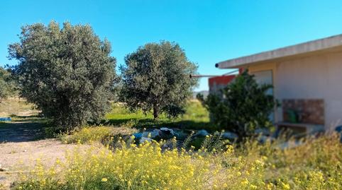 Foto 2 von Grundstücke zum Verkauf in Pasaje Los Marines, 15a, Los Puertos, Cartagena