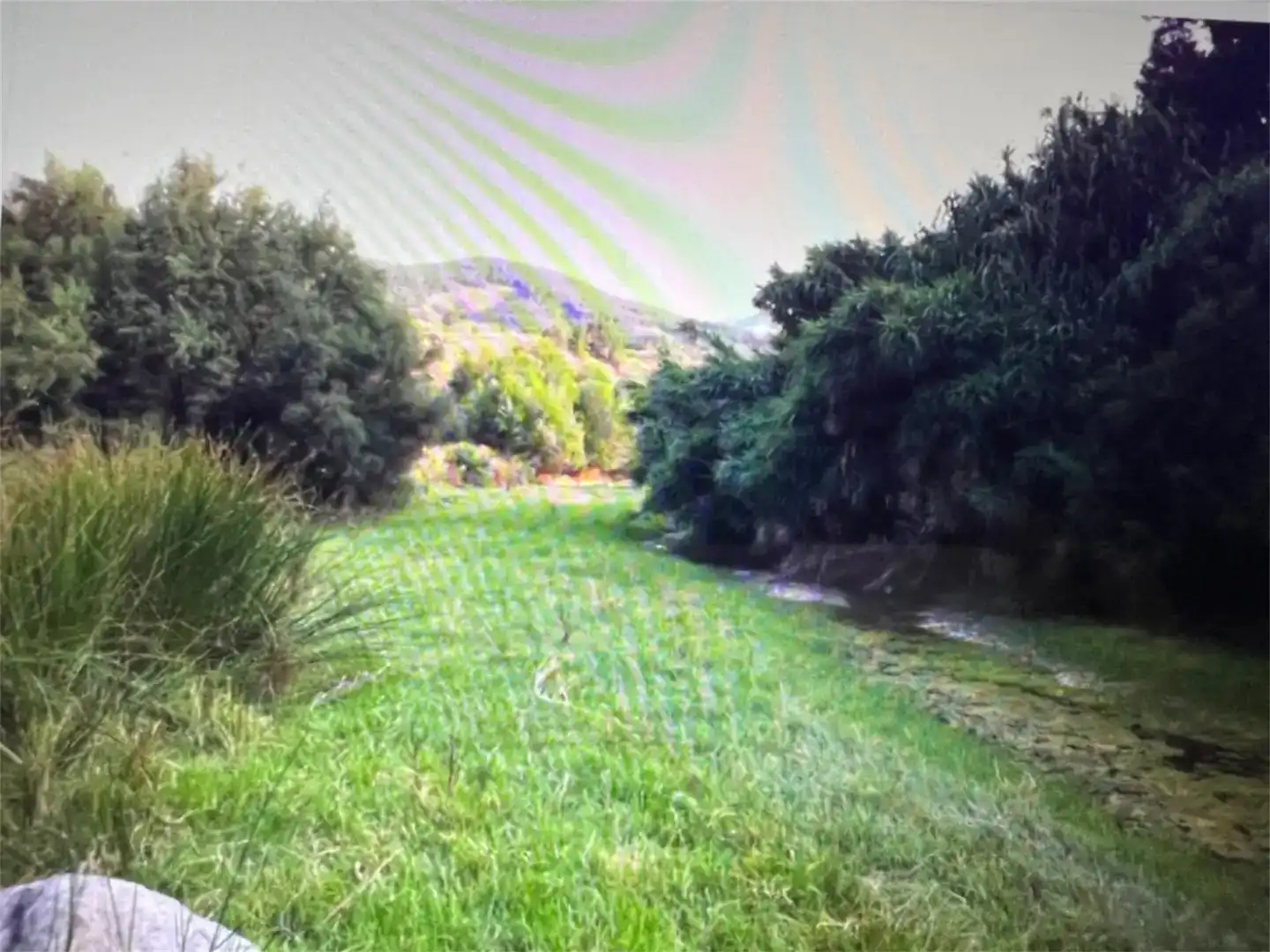 Finca rústica en venda en Purchena amb Piscina