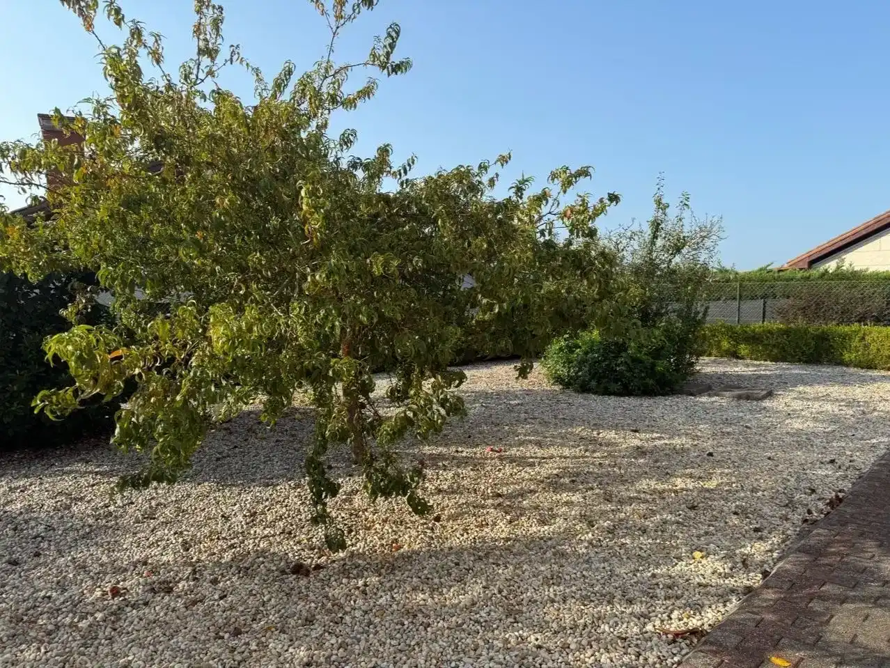 Pis en venda en Tomiño amb Jardí privat i Parquet