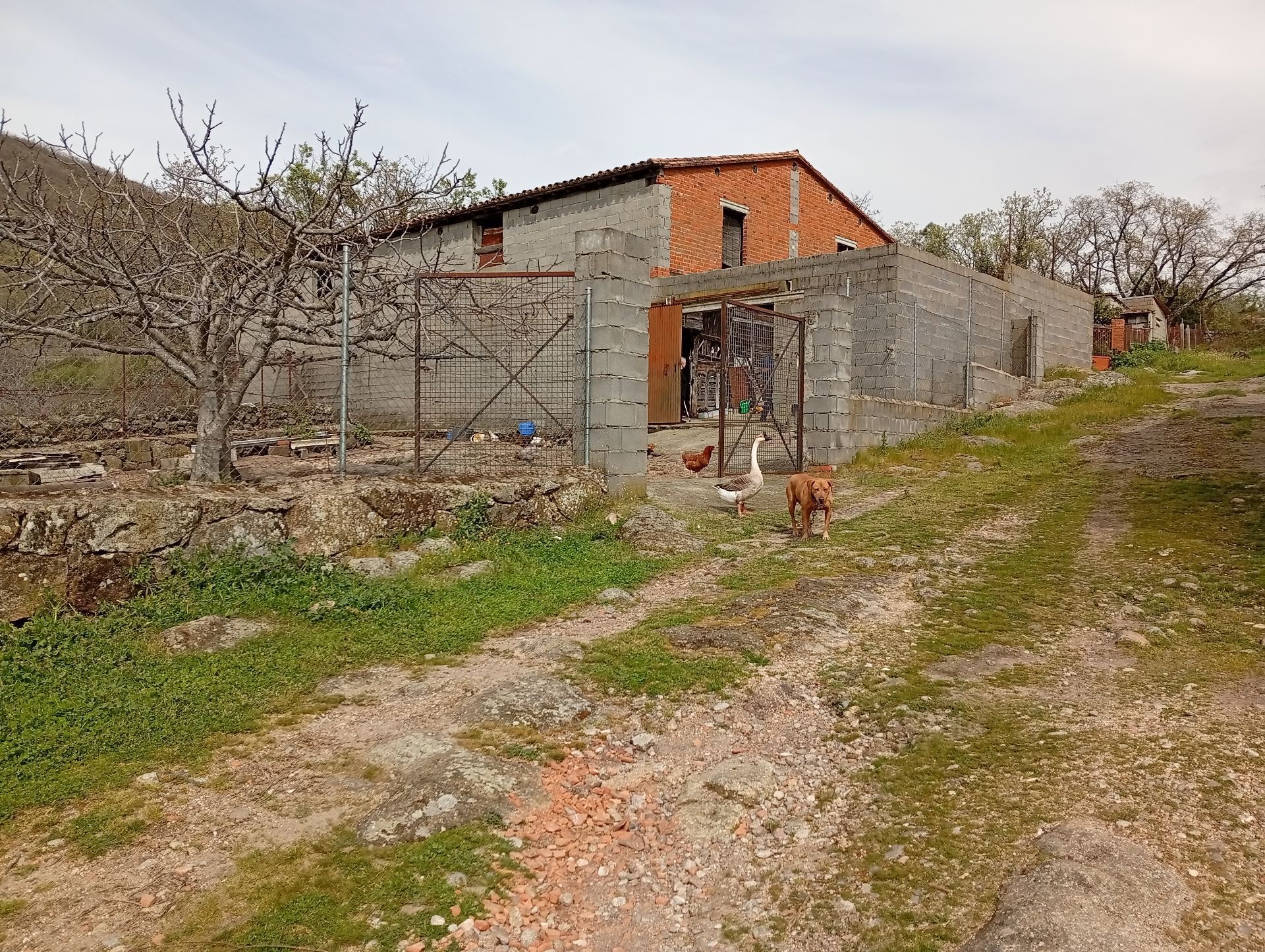 Residential for sale in Talaveruela de la Vera