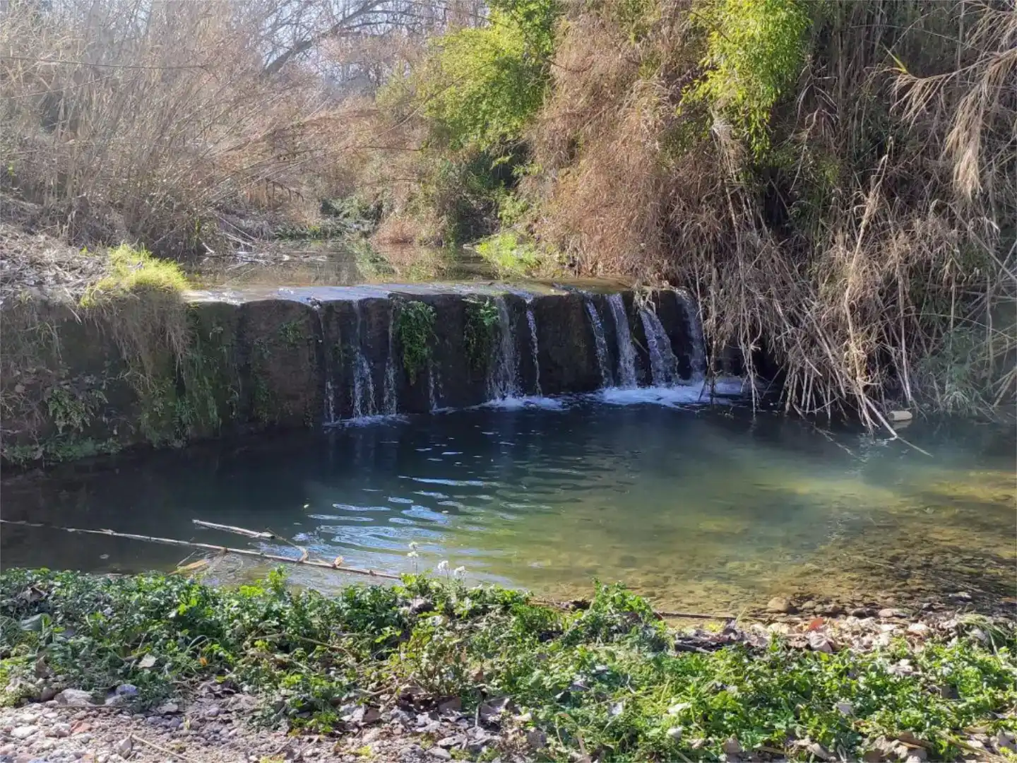 Swimming pool of Country homes for sale in Torrelavit