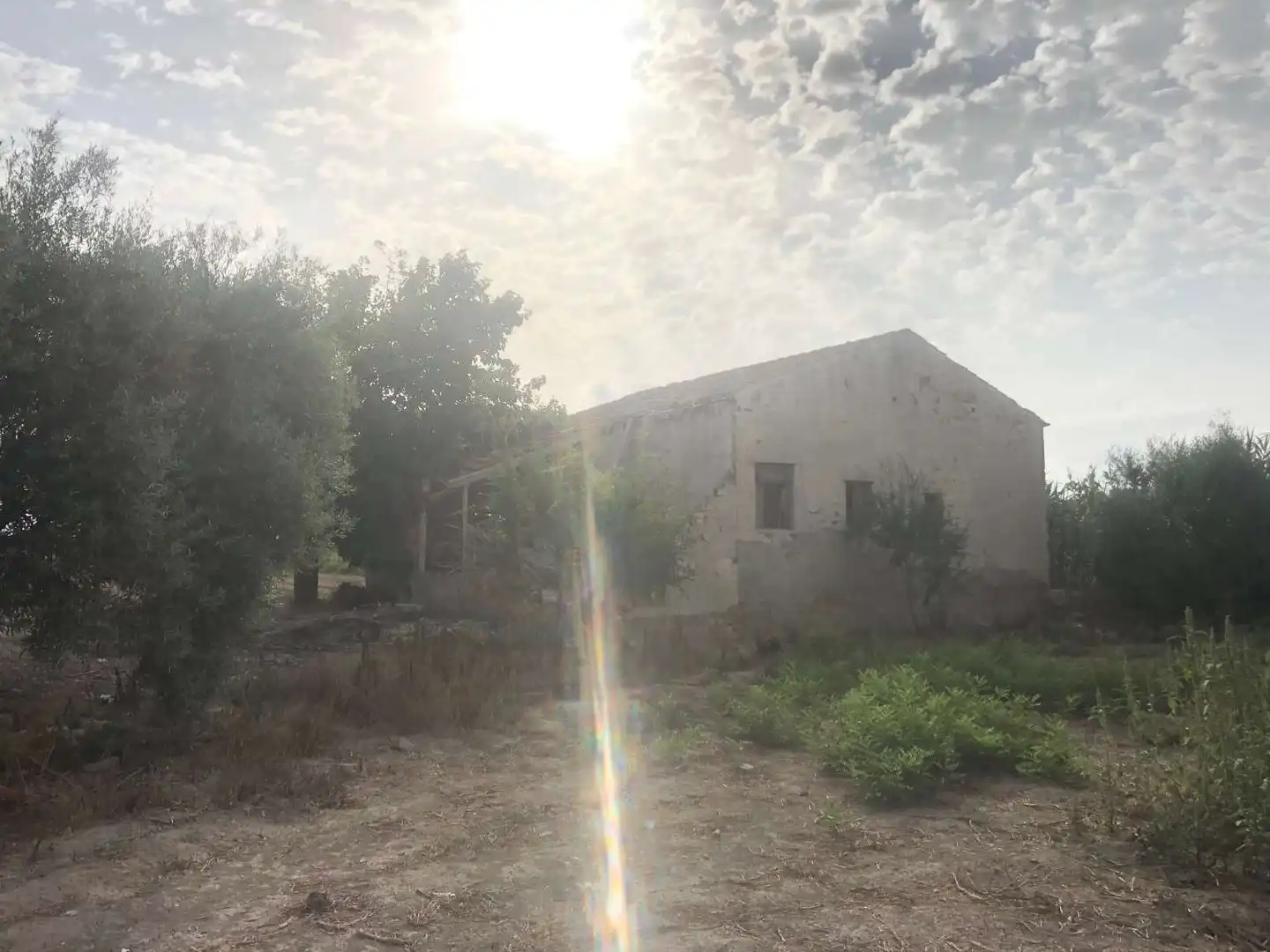 Terreny industrial en venda en Callosa de Segura