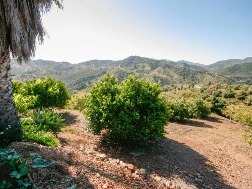 Exterior view of Houses for sale in Monda