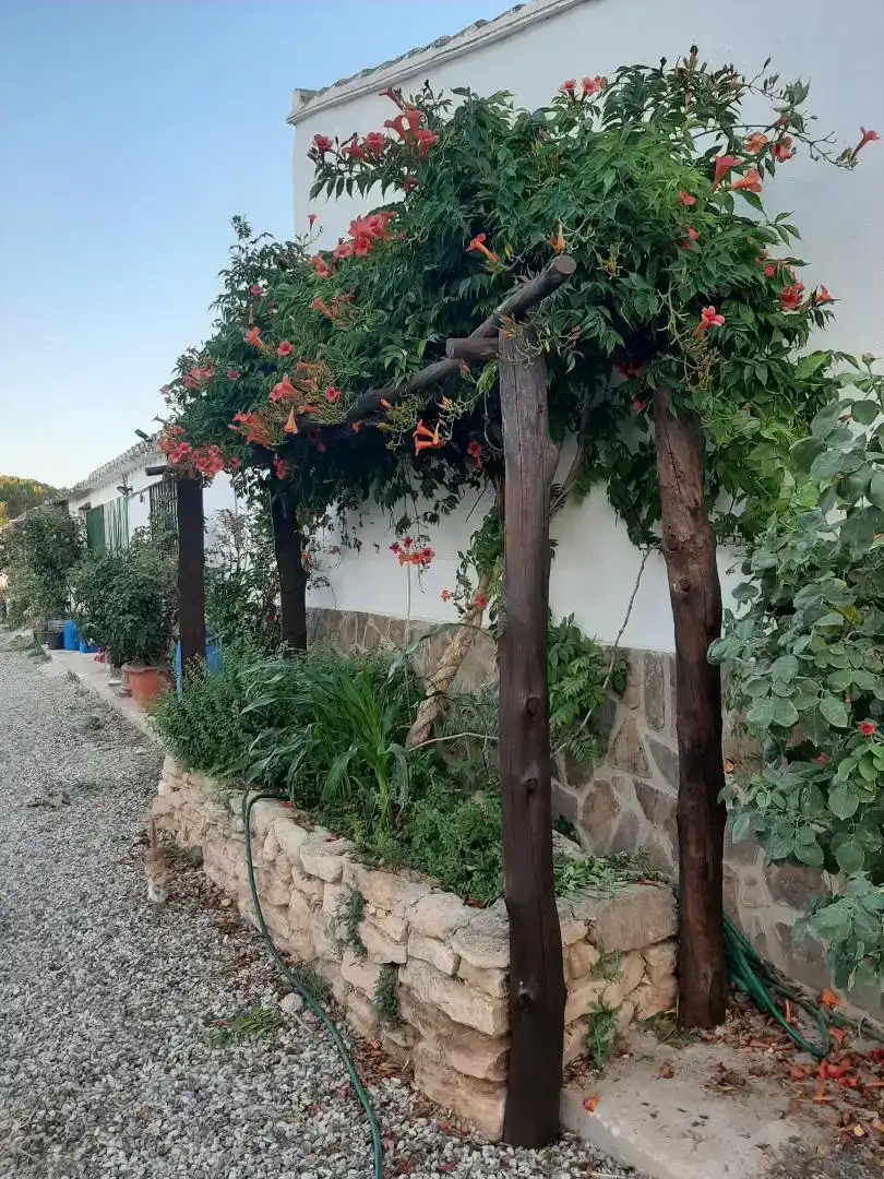 Garden of Country homes for sale in Hellín