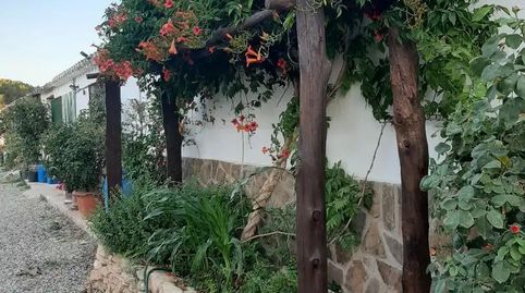 Foto 3 de Finca rústica en venta en Hellín, Albacete
