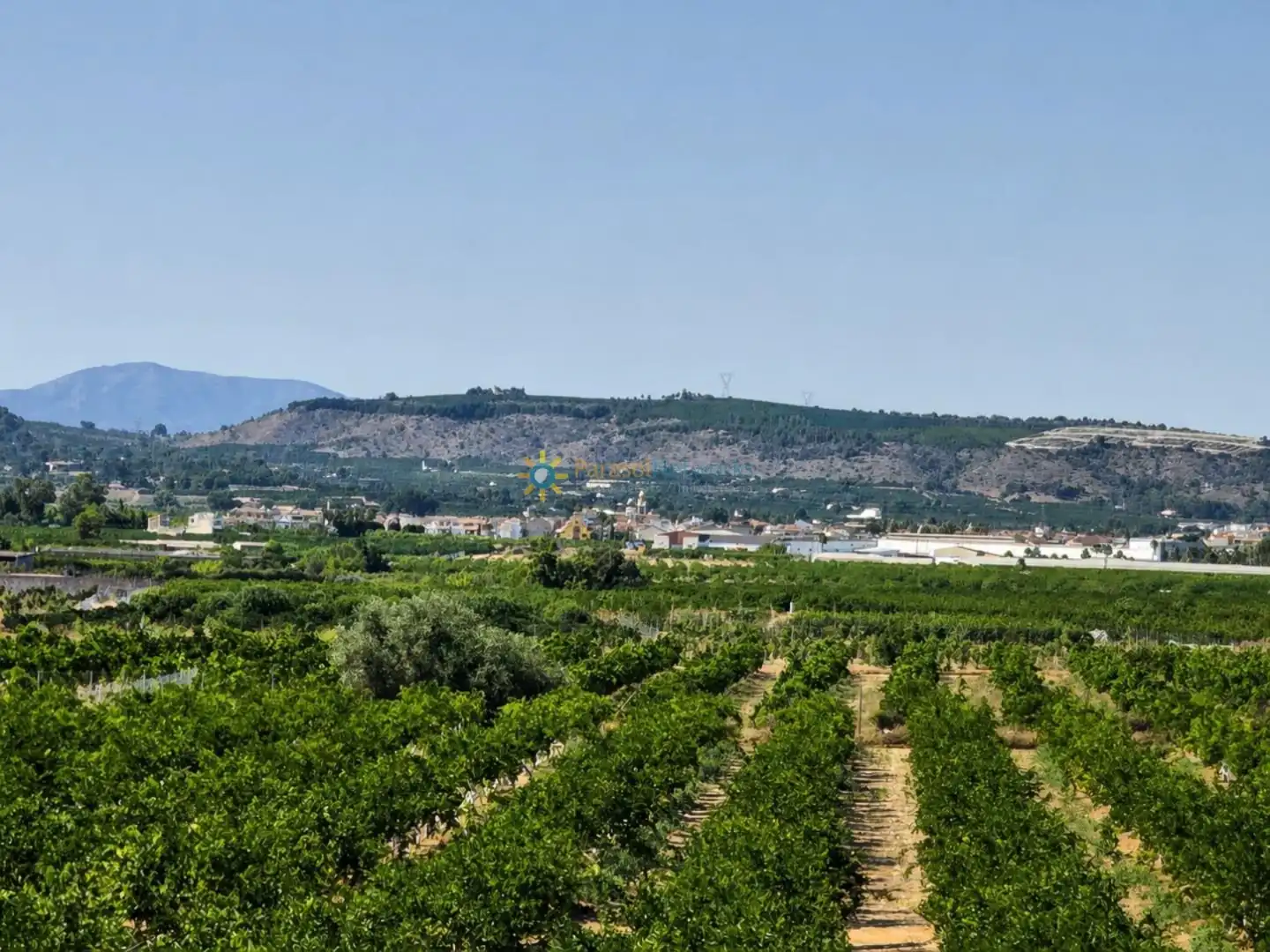 Vista exterior de Finca rústica en venda en Càrcer amb Jardí privat, Piscina i Balcó