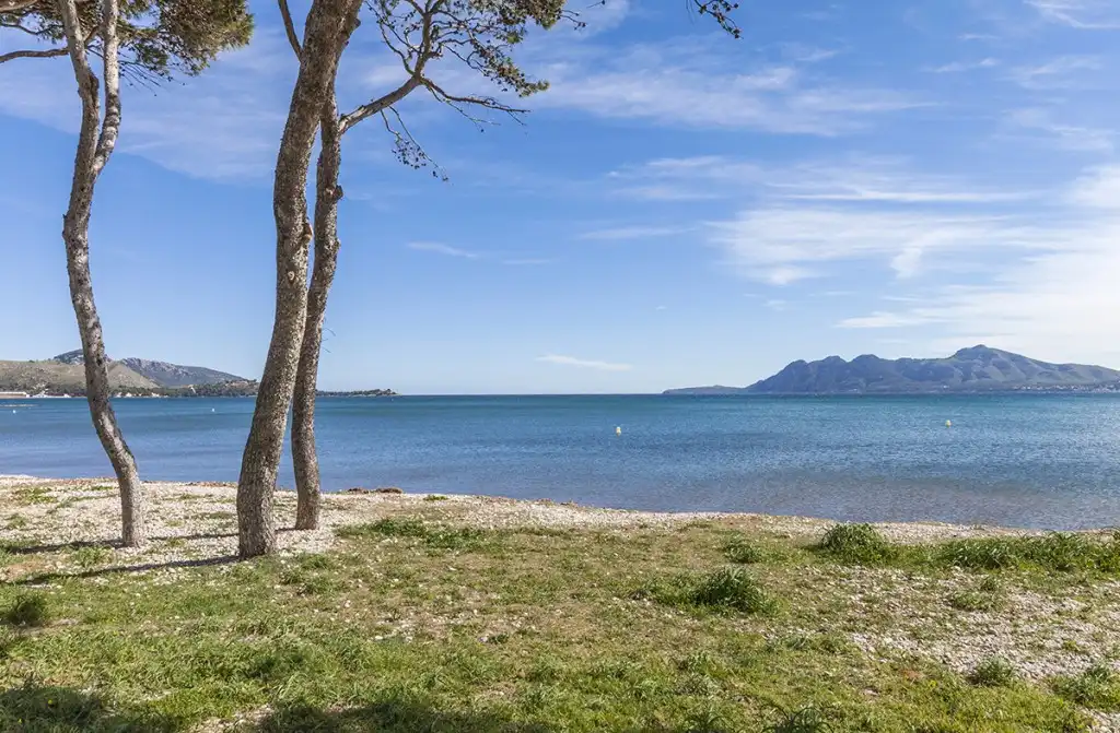 Country homes for sale in Pollença  with Air Conditioner, Private garden and Parquet flooring