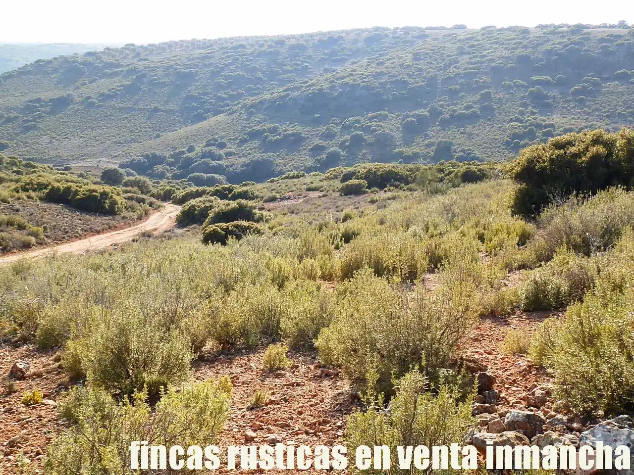 Terreno rustico in vendita a Ruidera, imagen 8