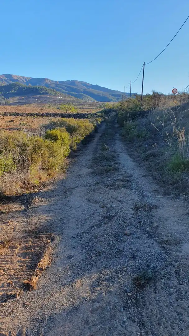 Terreno rústico en venta en Carretera General Vilaflor, imagen 9