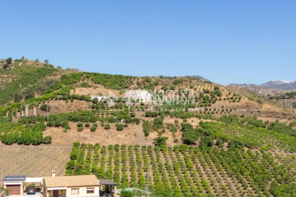 Terreny rústic en venda a Vélez-Málaga ciudad, imagen 3