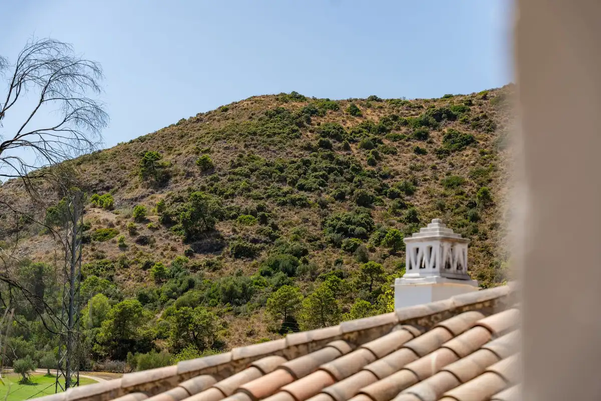Ático con piscina en venta en Los Arqueros  - Puerto del Almendro, imagen 41