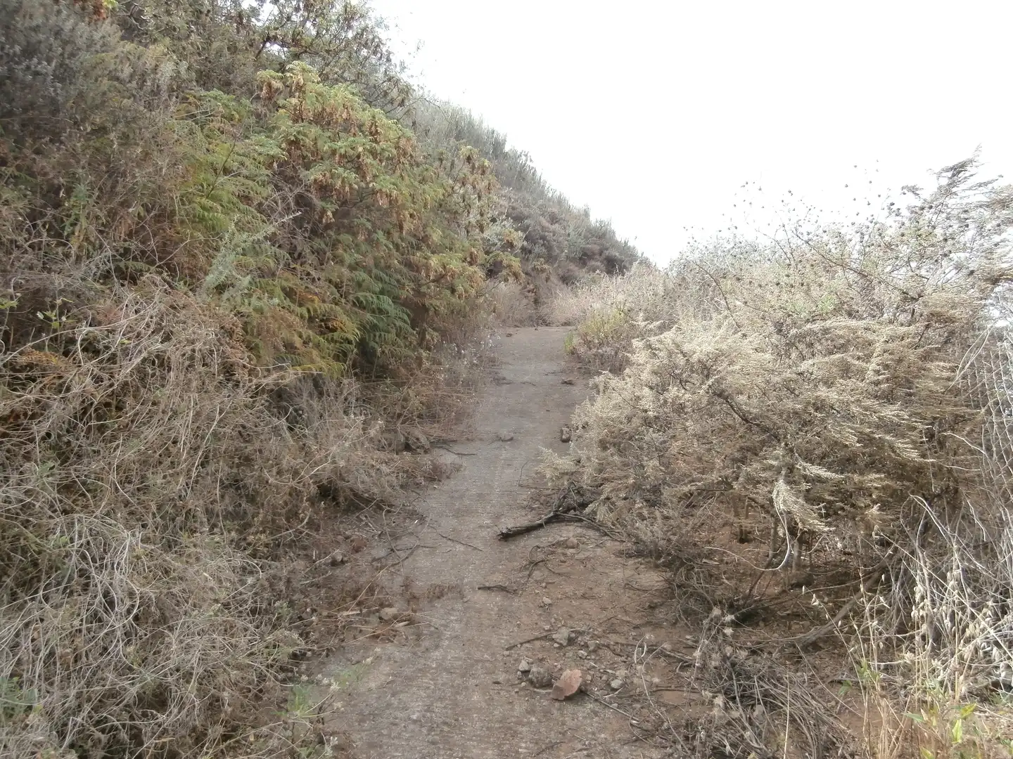 Finca rústica en venta en Camino Lomo el Marco, 41, Moya (Las Palmas)