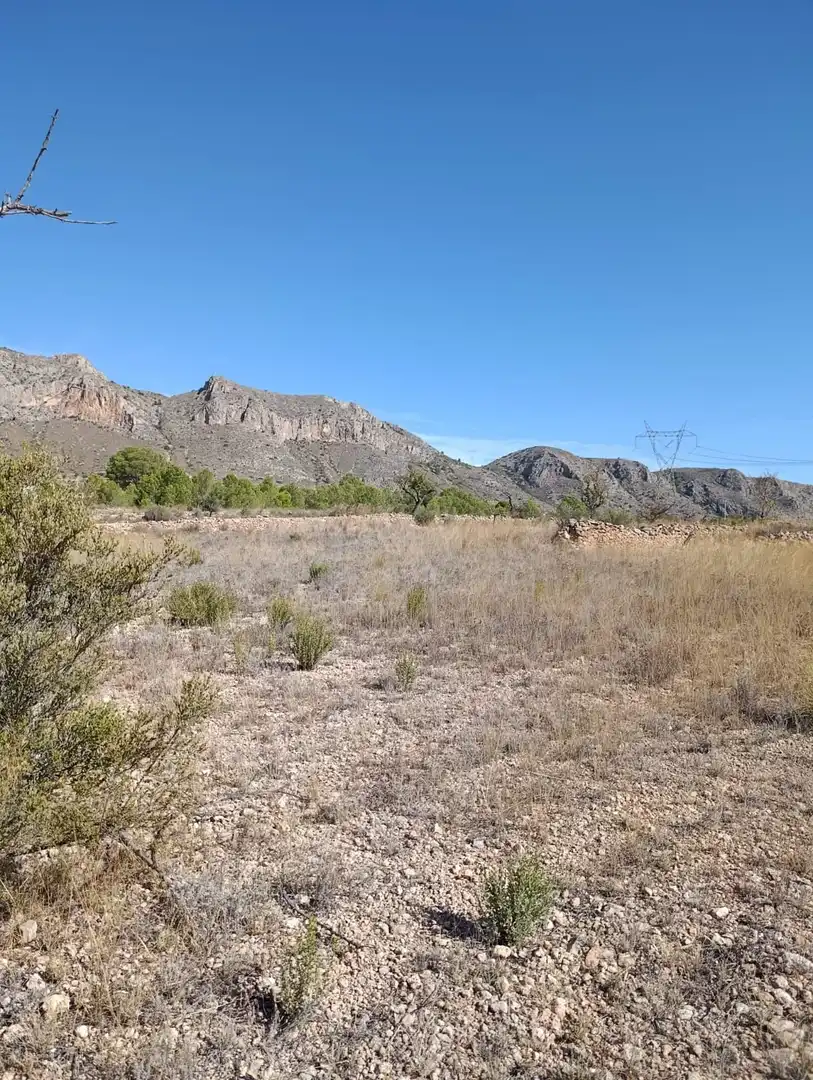 Terreno rustico in vendita a Hondón de las Nieves / El Fondó de les Neus, imagen 35