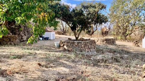 Photo 4 of Country house for sale in  Olivar con Espectacular Cortijo, Villanueva del Rosario, Málaga