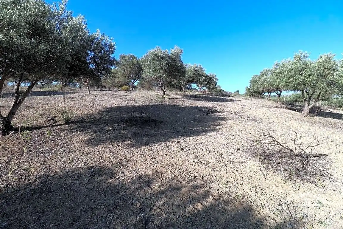 Terreni e lotti in vendita a Coín, imagen 5