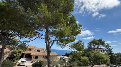 Foto 2 de Finca rústica en venda a Porto Cristo, Manacor