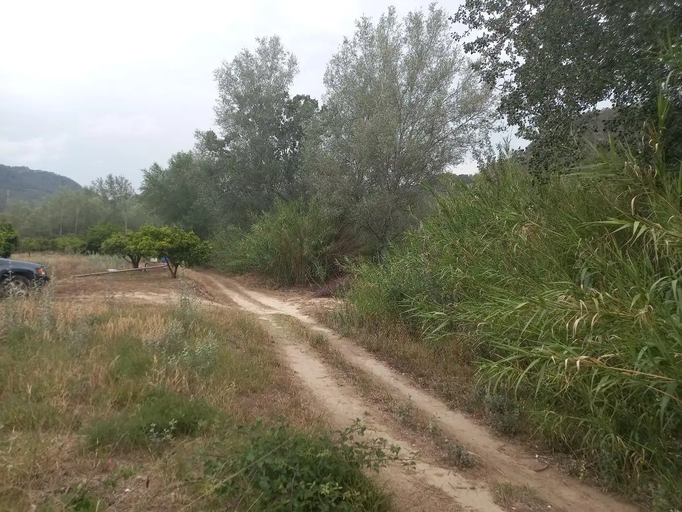 Terrenys i solars en venda a Miravet, imagen 3
