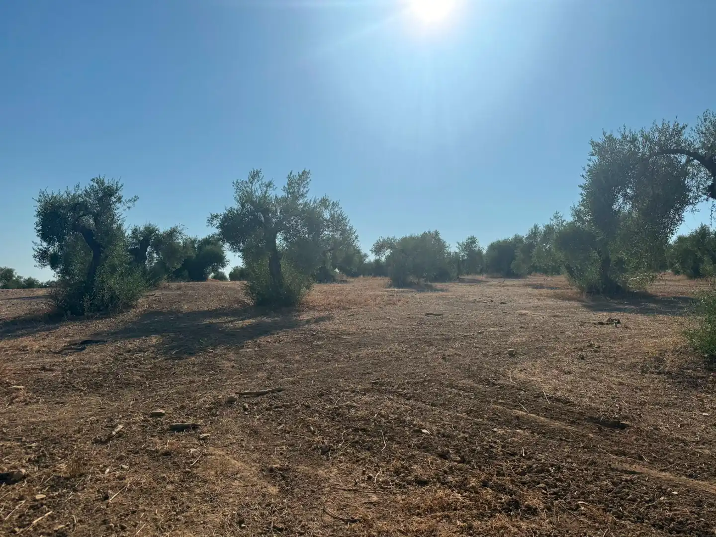Casa o xalet en venda en Villanueva del Río y Minas amb Jardí privat, Terrassa i Traster