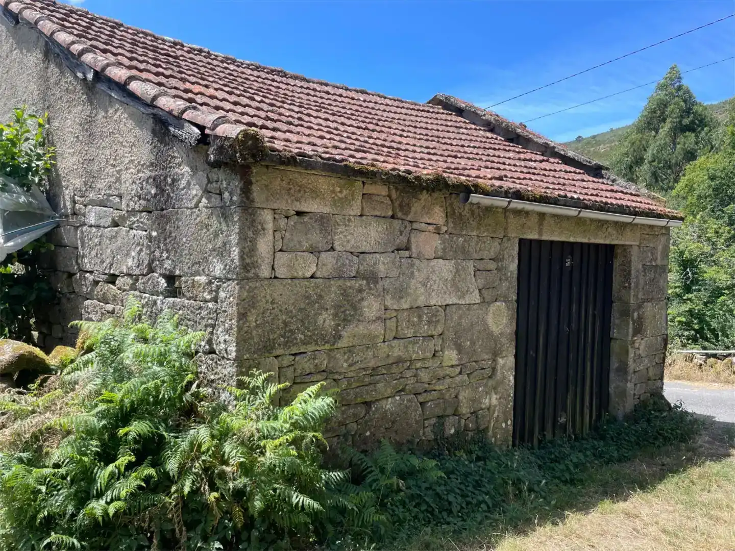 Exterior view of Land for sale in San Cristovo de Cea, Ourense